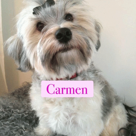 Carmen Carmen